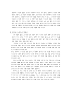 [정부규제] 무가지, 경품에 관한 신문고시 폐지의 정당성-5