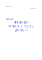 [국제관계이론] 기후변화협약-1