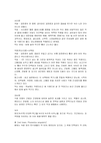 [제과제빵개론] 제과제빵에 이용될 수 있는 기능성 식품의 종류와 기능-8