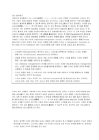 [디자인경영] 한국기업의 디자인 경영 현황 분석 및 향후 발전방안 연구-4
