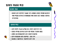 [조직행동론] 행정자치부(공무원) 팀제에 관한 보고서-3