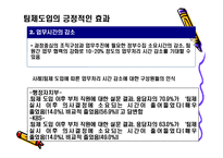 [조직행동론] 행정자치부(공무원) 팀제에 관한 보고서-14