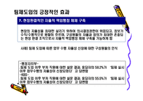[조직행동론] 행정자치부(공무원) 팀제에 관한 보고서-20