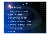 [항공경영학] 아시아나항공과 스타얼라이언스-2