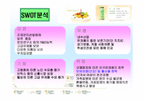 [마케팅] 남양유업 다각화전략과 17차 시장점유율 확보전략-5