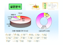 [마케팅] 남양유업 다각화전략과 17차 시장점유율 확보전략-19