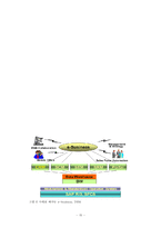 [생산관리] ERP 성공사례 분석 -볼보건설기계코리아-15