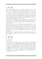 [마케팅] 새로운 CI 마케팅 상품 개발을 통한 기업 이미지 제고방안 -아시아나항공-3