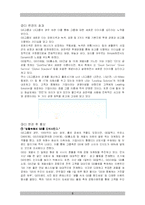 [마케팅] 새로운 CI 마케팅 상품 개발을 통한 기업 이미지 제고방안 -아시아나항공-6
