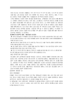 [마케팅] 새로운 CI 마케팅 상품 개발을 통한 기업 이미지 제고방안 -아시아나항공-7