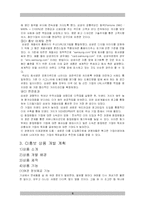 [마케팅] 새로운 CI 마케팅 상품 개발을 통한 기업 이미지 제고방안 -아시아나항공-9