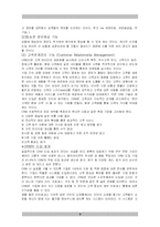 [마케팅] 새로운 CI 마케팅 상품 개발을 통한 기업 이미지 제고방안 -아시아나항공-10