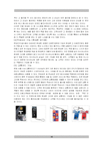 [마케팅] 새로운 CI 마케팅 상품 개발을 통한 기업 이미지 제고방안 -아시아나항공-11