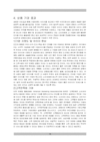 [마케팅] 새로운 CI 마케팅 상품 개발을 통한 기업 이미지 제고방안 -아시아나항공-12