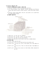 [교육심리] 학생의 심리적 개인차 -지능-4