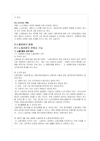 [노사관계론] 사례를 중심으로한 한국 노사관계의 현실과 개선방안-3