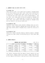 [사회복지] 장애인복지정책과 문제점-2