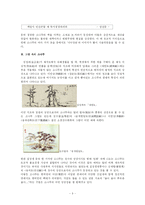 [소나무,참나무,자작나무,우리문화] 소나무와 우리문화-3