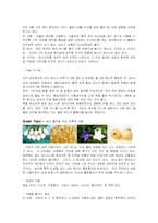 [영양학] color food-3