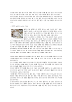 [영양학] color food-5