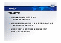 [국제경영] 국내 기업의 해외경영시 문화환경적응사례 -국내 자동차 인도시장진출-4