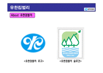 [경영학] 유한킴벌리 분석-4
