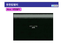 [경영학] 유한킴벌리 분석-5