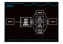 [유통관리] 대형 할인점의 유통경로-17
