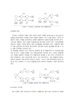 [경영학] 휴렛패커드(HP) SPaM-5