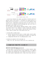 [경영학] 휴렛패커드(HP) SPaM-7