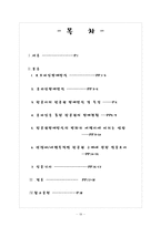 [항공사경영론] 항공권 인터넷 직접 판매에 따른 여행사의 대응방안-19