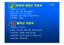 [식품학] 식중독-6