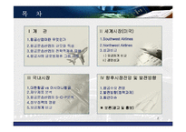 [시장조사] 항공 운송 산업 국내 외 시장조사 및 향후 시장 전망과 발전 방향(A+레포트)★★★★★-2