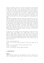 [마케팅조사] `도브` 브랜드의 제품 다각화를 위한 시장조사-5