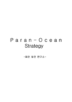 [마케팅] Paran 파란 마케팅전략-1