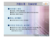 [비교분석] 싸이월드의 마케팅 전략 성공사례와 세이클럽의 실폐사례 비교분석(SWOT, STP분석)(A+레포트)★★★★★-6