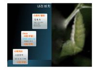 [인터넷비즈니스] 썬마이크로시스템즈 Java로의 도약-2