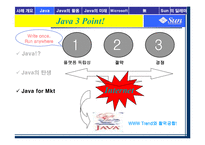 [인터넷비즈니스] 썬마이크로시스템즈 Java로의 도약-10