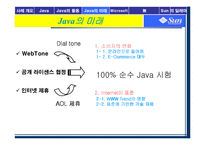 [인터넷비즈니스] 썬마이크로시스템즈 Java로의 도약-15
