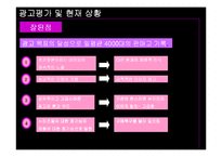 [광고학] 초콜릿폰 회생을 위한 광고제안-9