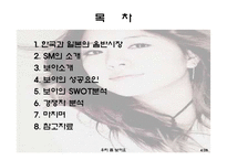 [국제경영] 걸어다니는 1인 기업 BOA 보아-4