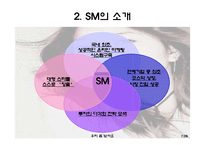 [국제경영] 걸어다니는 1인 기업 BOA 보아-7