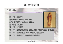 [국제경영] 걸어다니는 1인 기업 BOA 보아-8