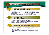 [국제경영] 필립스&마쓰시다-19