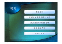 보해 복분자주 광고기획서-2