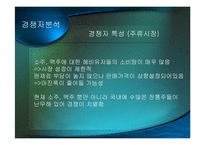 보해 복분자주 광고기획서-7