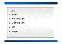 [광고캠페인] 펜잘의 마케팅 커뮤니케이션 전략-2