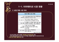 [의류산업과 유통론] 명품을 위협하는 한국 이미테이션 시장의 바람직한 미래상 제안-3