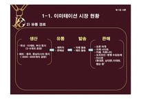 [의류산업과 유통론] 명품을 위협하는 한국 이미테이션 시장의 바람직한 미래상 제안-4
