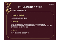 [의류산업과 유통론] 명품을 위협하는 한국 이미테이션 시장의 바람직한 미래상 제안-7